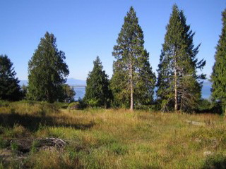 Picture of Point Roberts Parcel Number 405301-063412